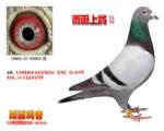 �꺯�Ͻ�II