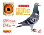 �꺯ͻ�ƺ�