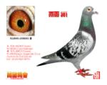 �꺯361