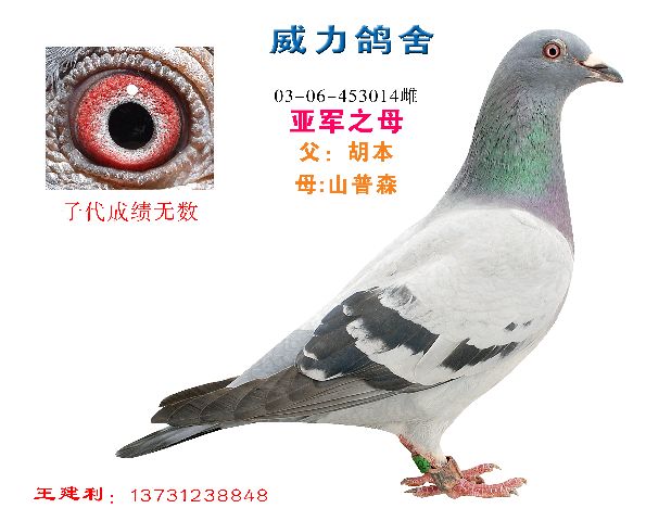 20100606173311.jpg
