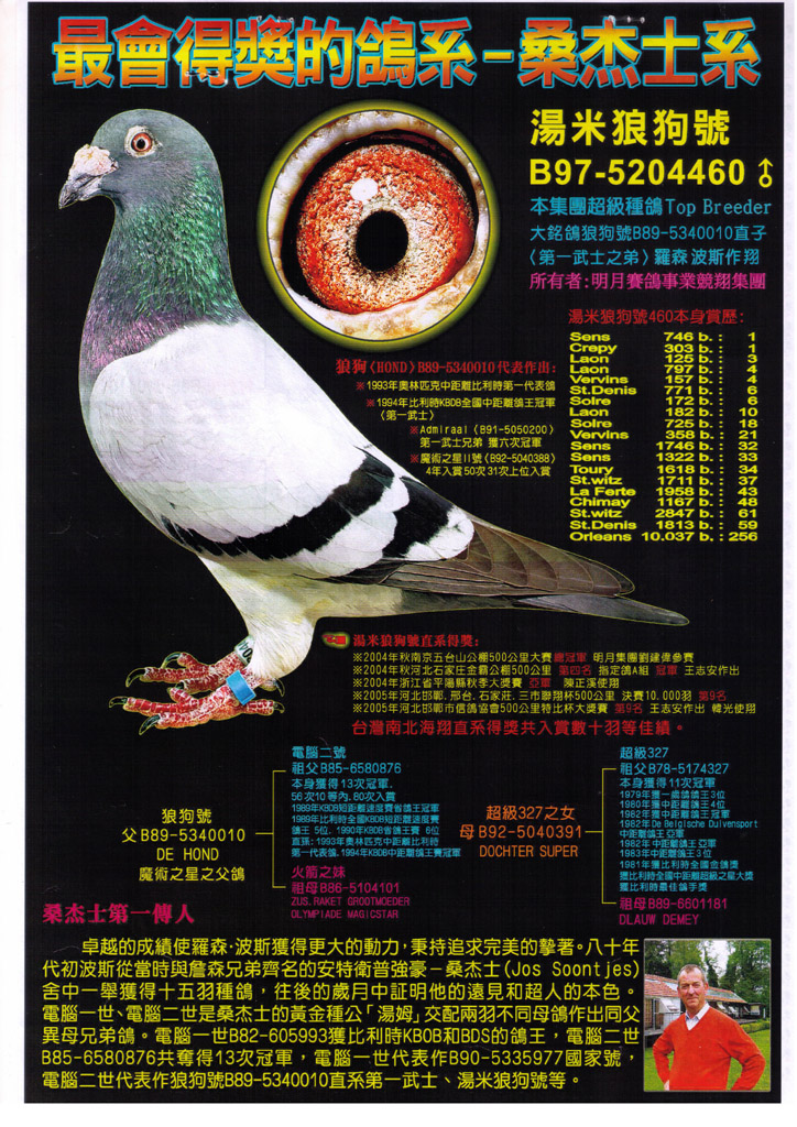 汤米狼狗号直子 台湾明月