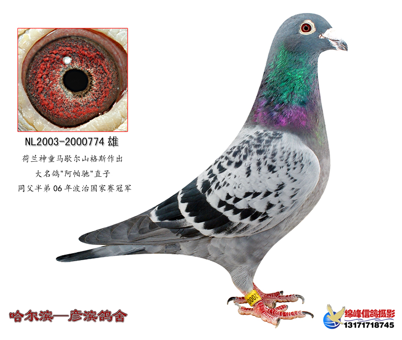 20101005122428.jpg