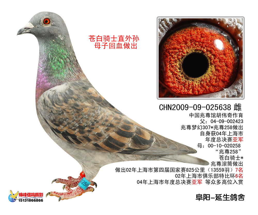 雌                         目 录:  兆尊苍白 胡维奇