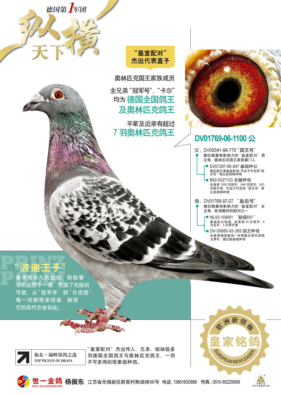 3-波迪王子