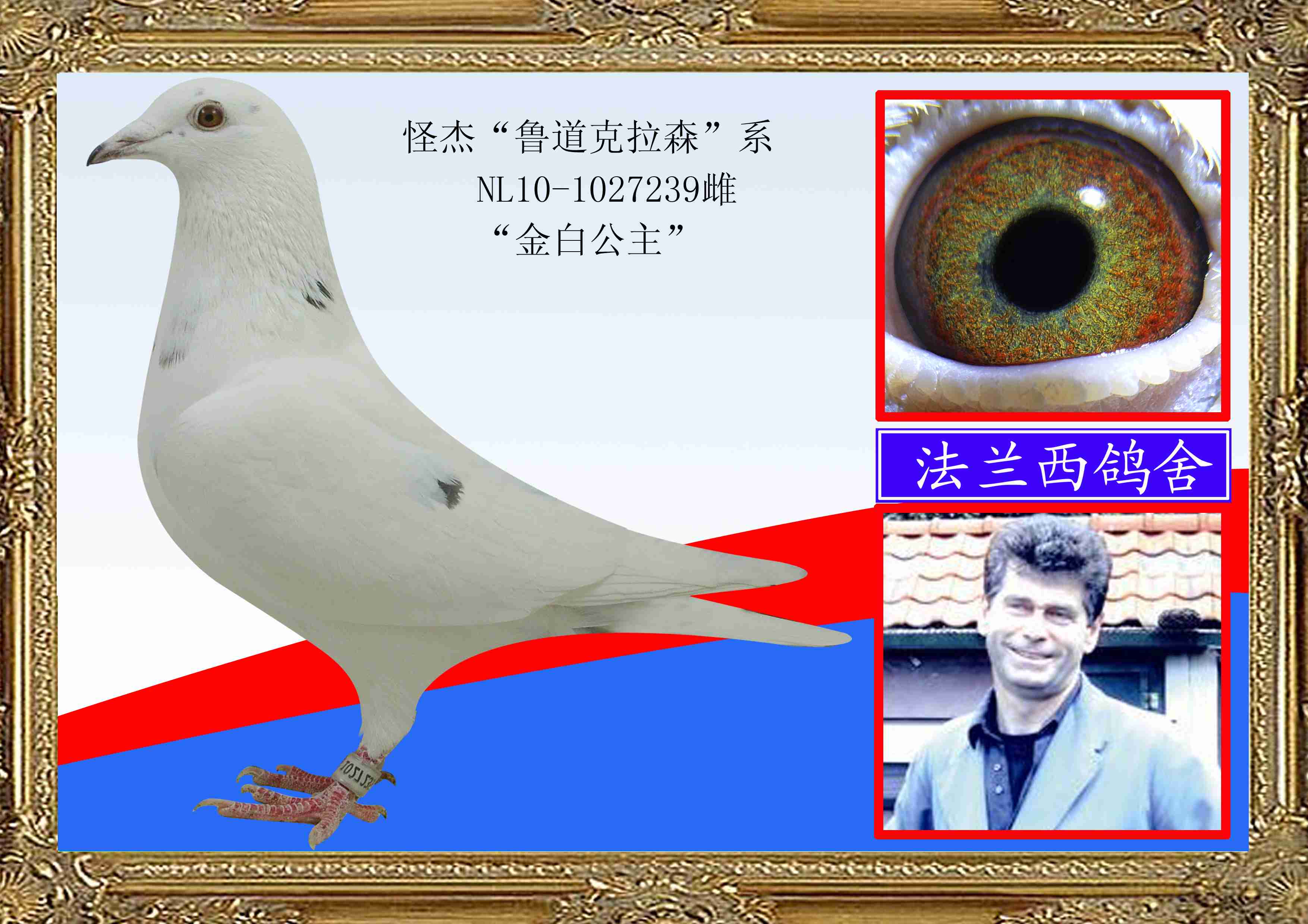 (׹)  nϵ