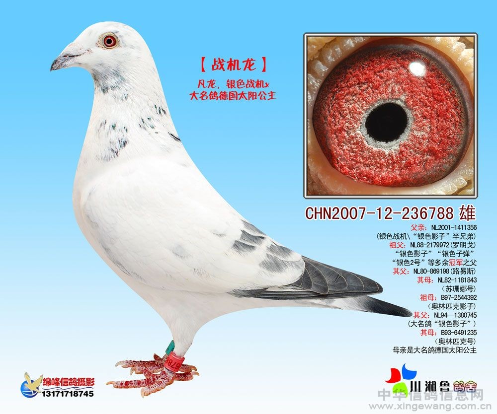 H102660.jpg