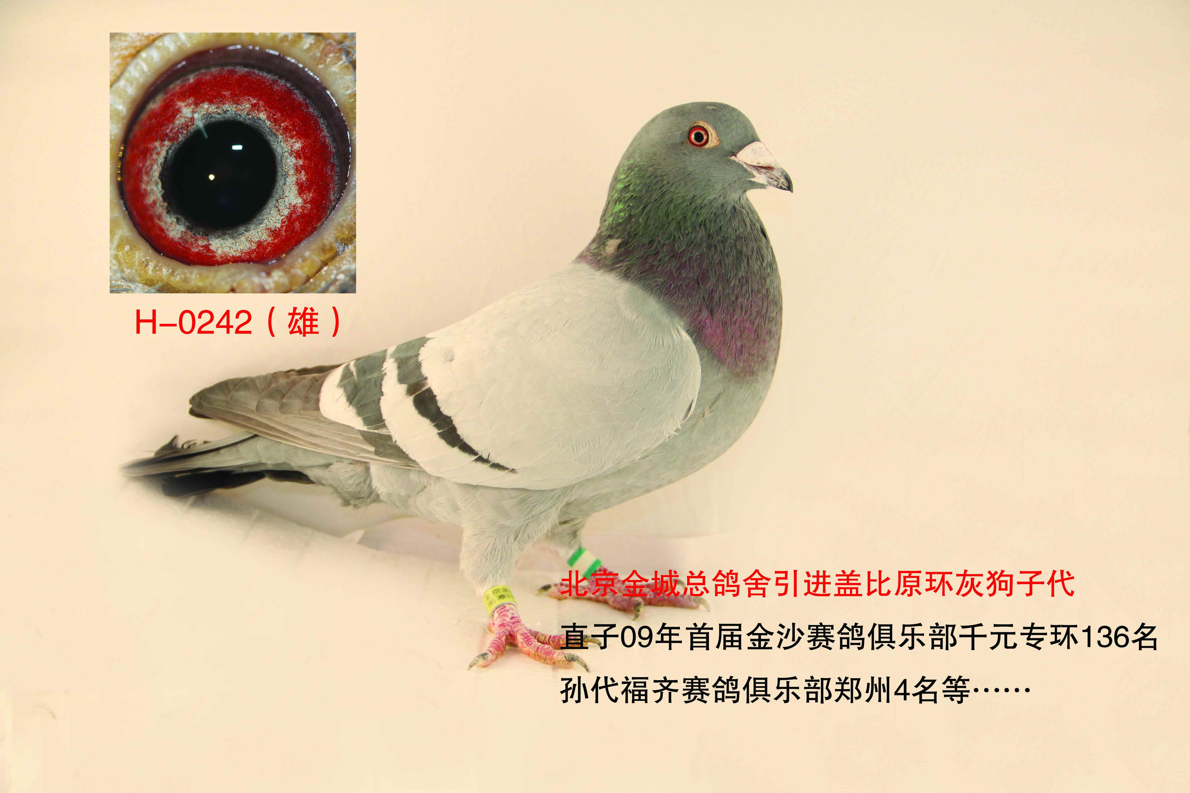 H103042.jpg