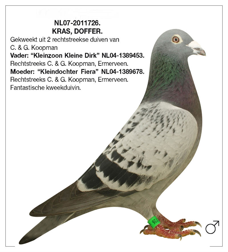 726_品高鸽舍_+ag188.com爱鸽商城