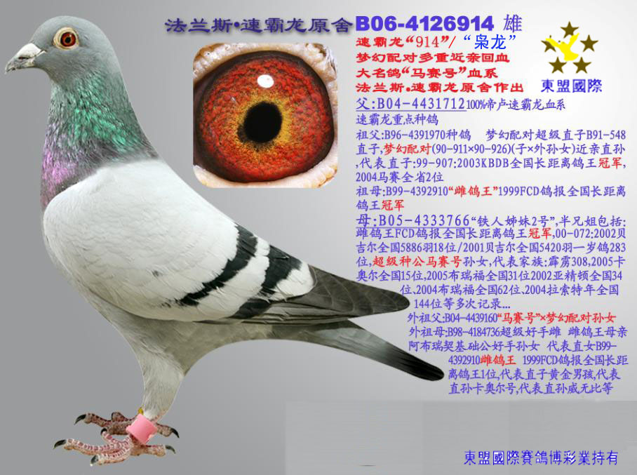 东盟国际
