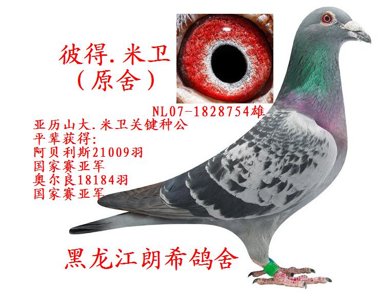 彼得.米卫.原舍