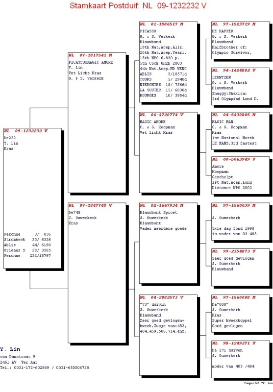 全国有多少个名字叫王子灿?