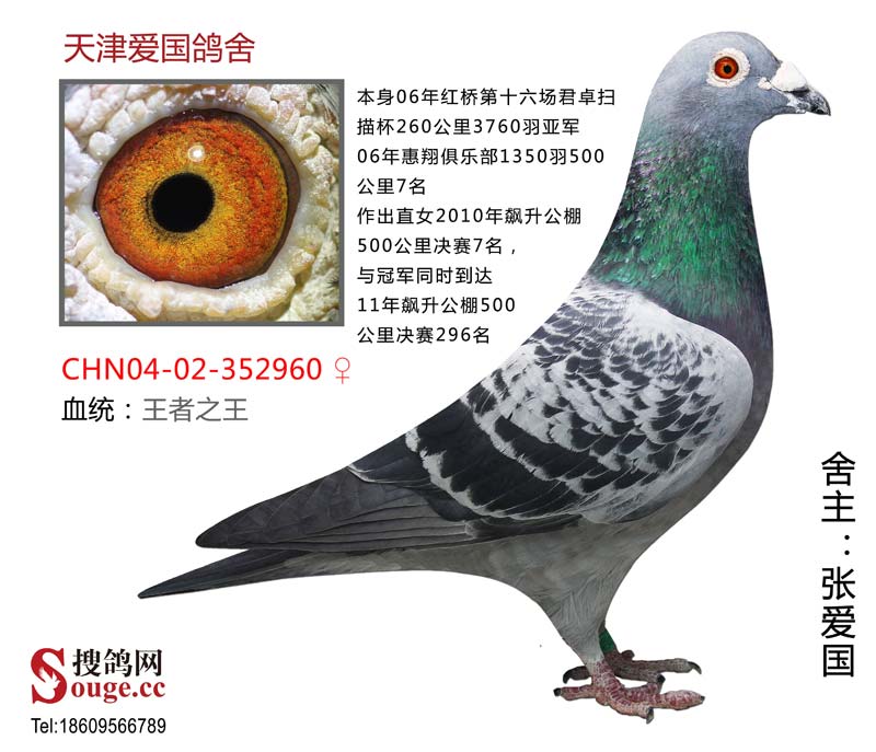 王者之王