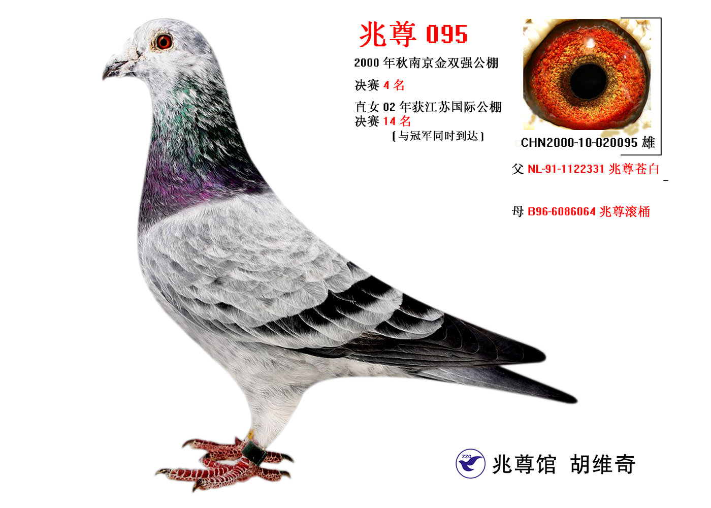 "苍白奇迹"中国兆尊馆—胡维奇作育