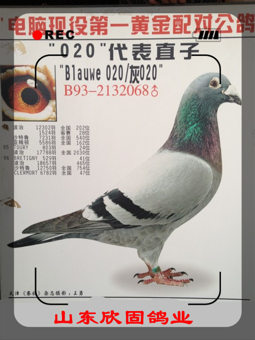 020之孙