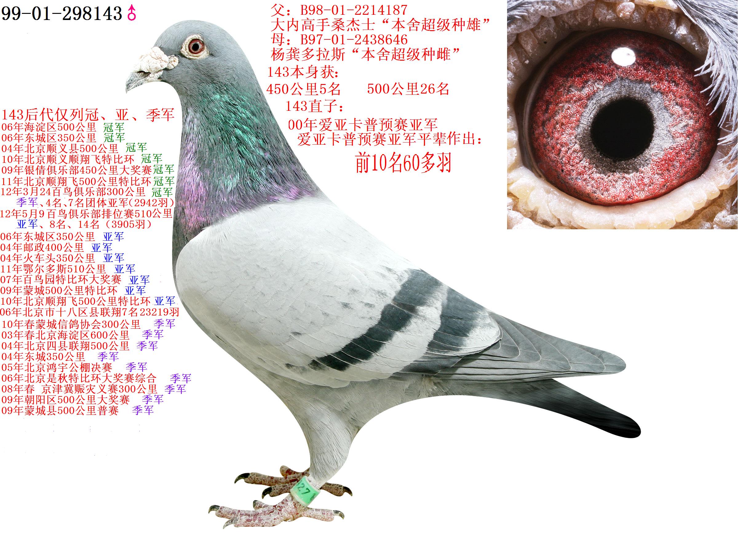 大内高手155血系