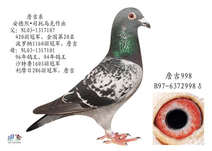 詹吉998