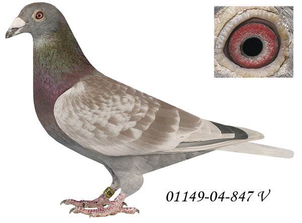 ���պ�˹������