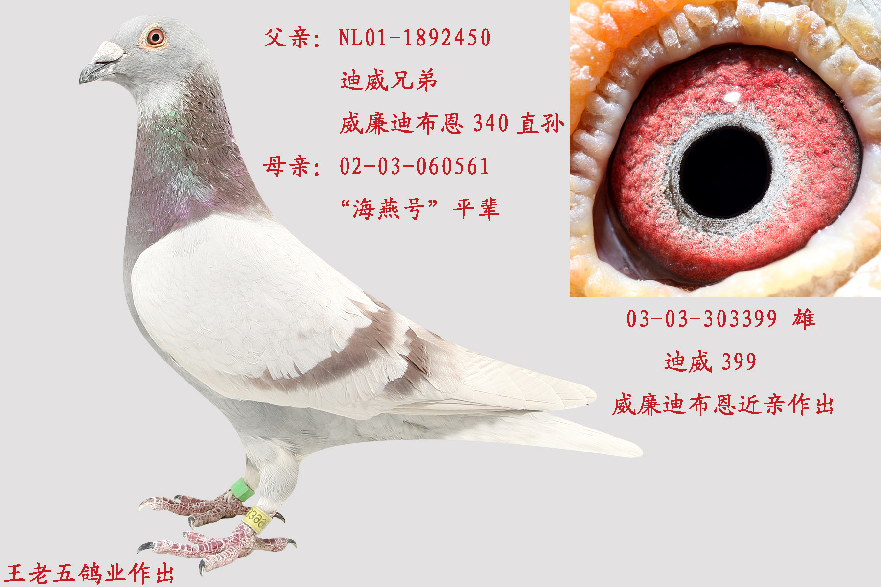 迪威399