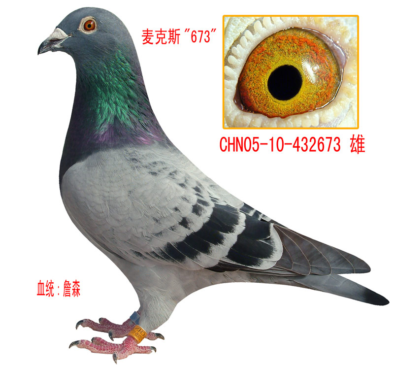 H28932.gif