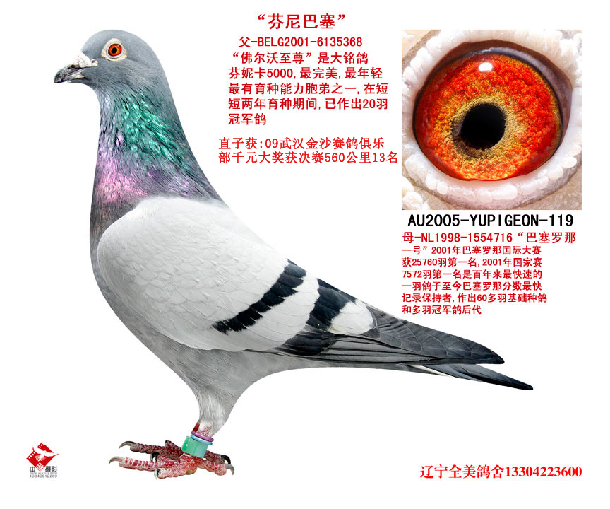 �����ݰ�����