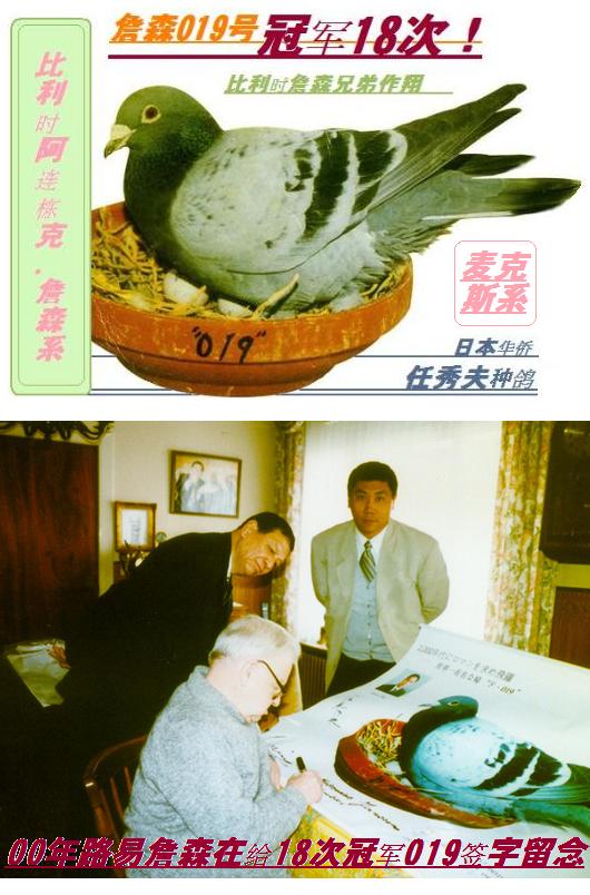 �ձ�����������ָ�18�ιھ�019��