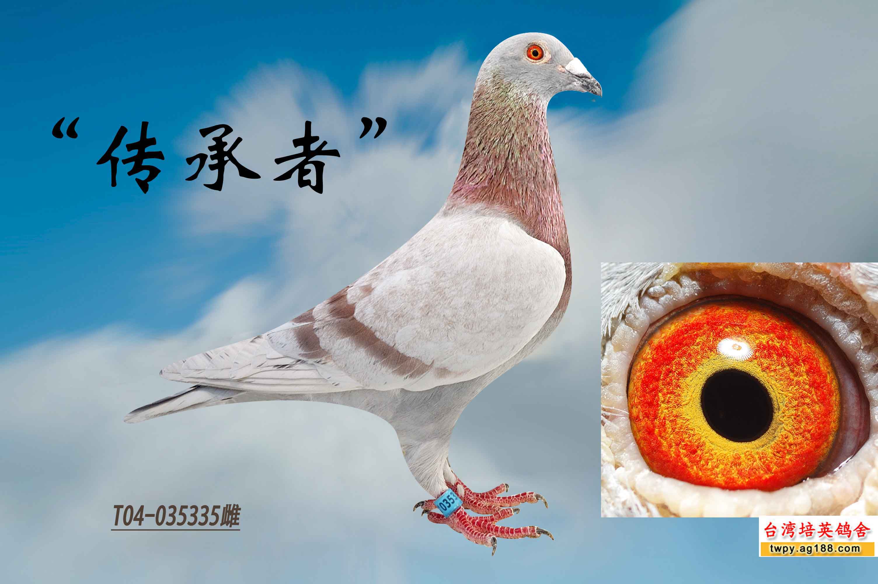 雄风传承者