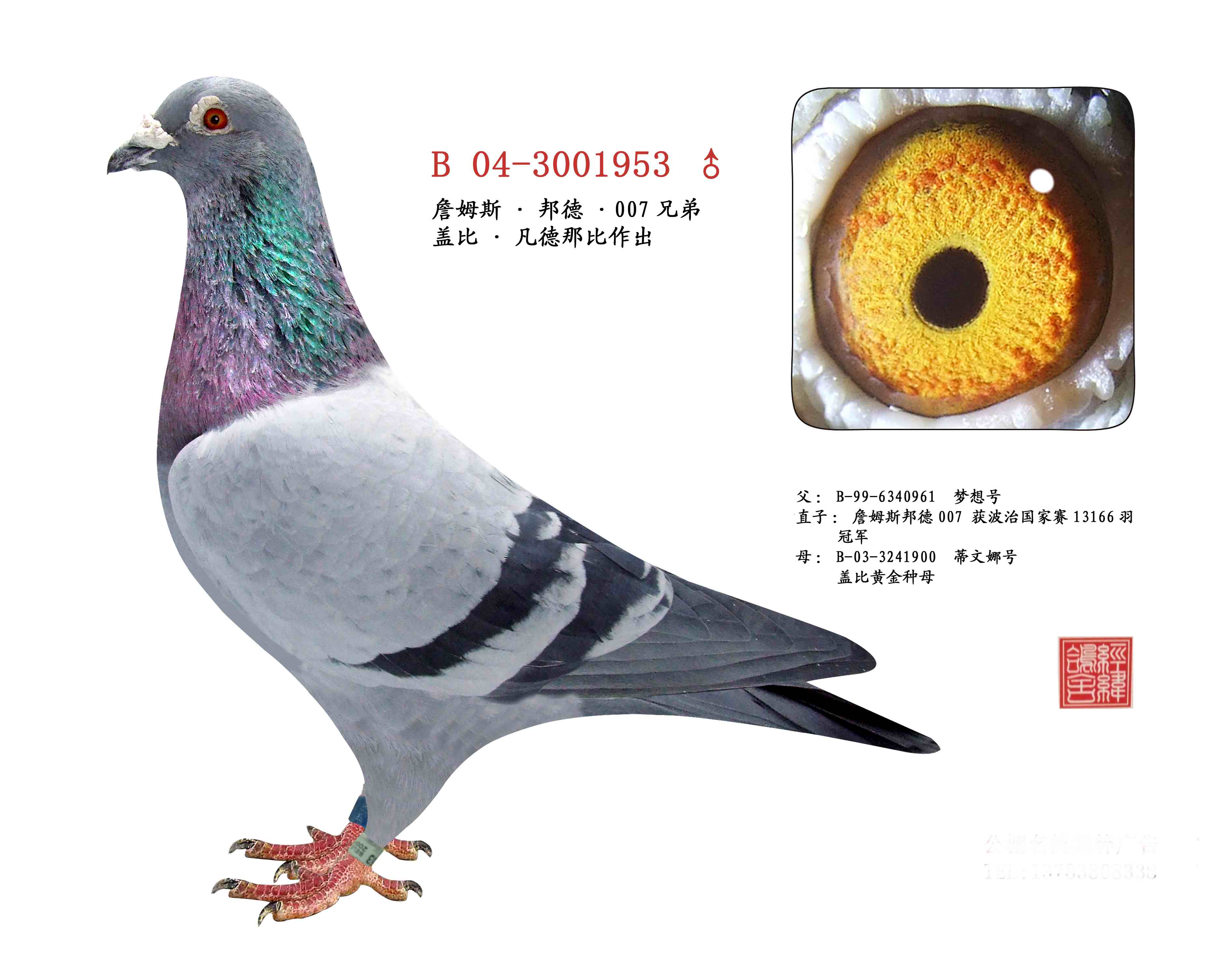 詹姆斯.邦德.007兄弟