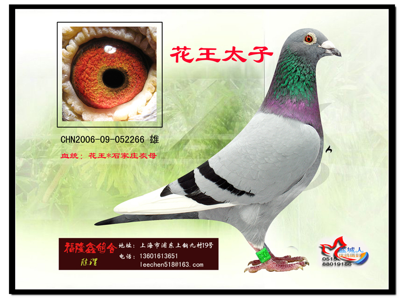 ����̫��