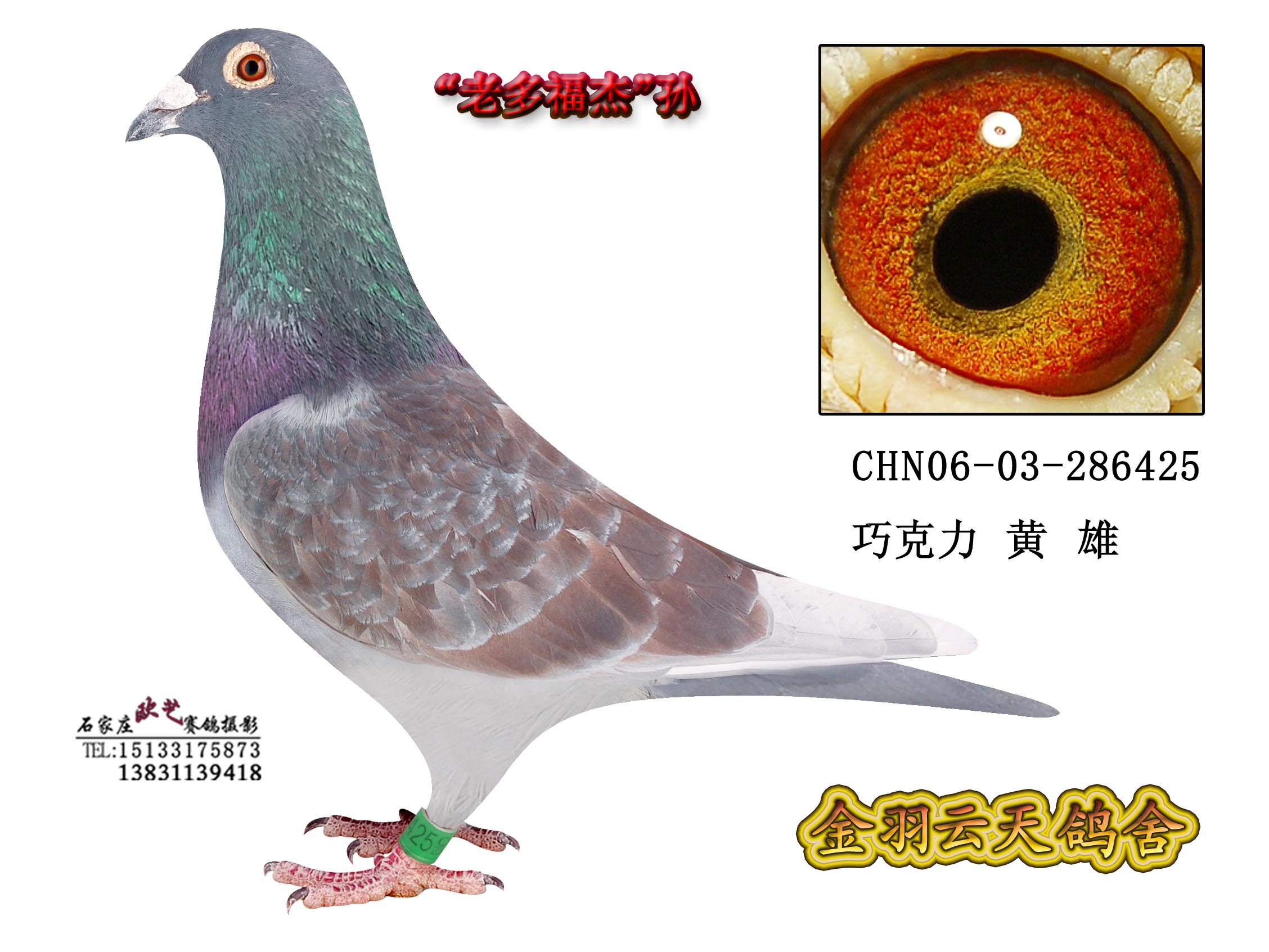 老多福杰杨阿腾直孙425