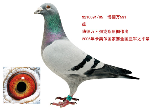 H67753.jpg