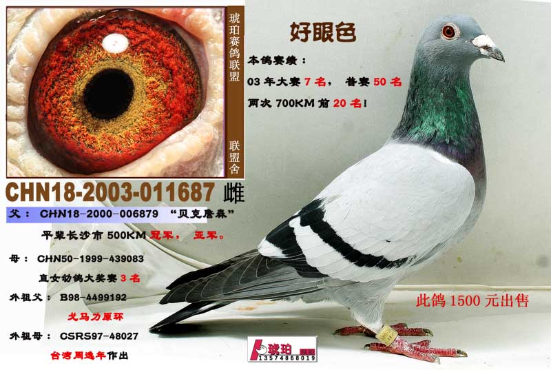 好眼色
