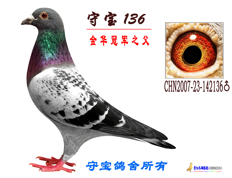 H70471.jpg