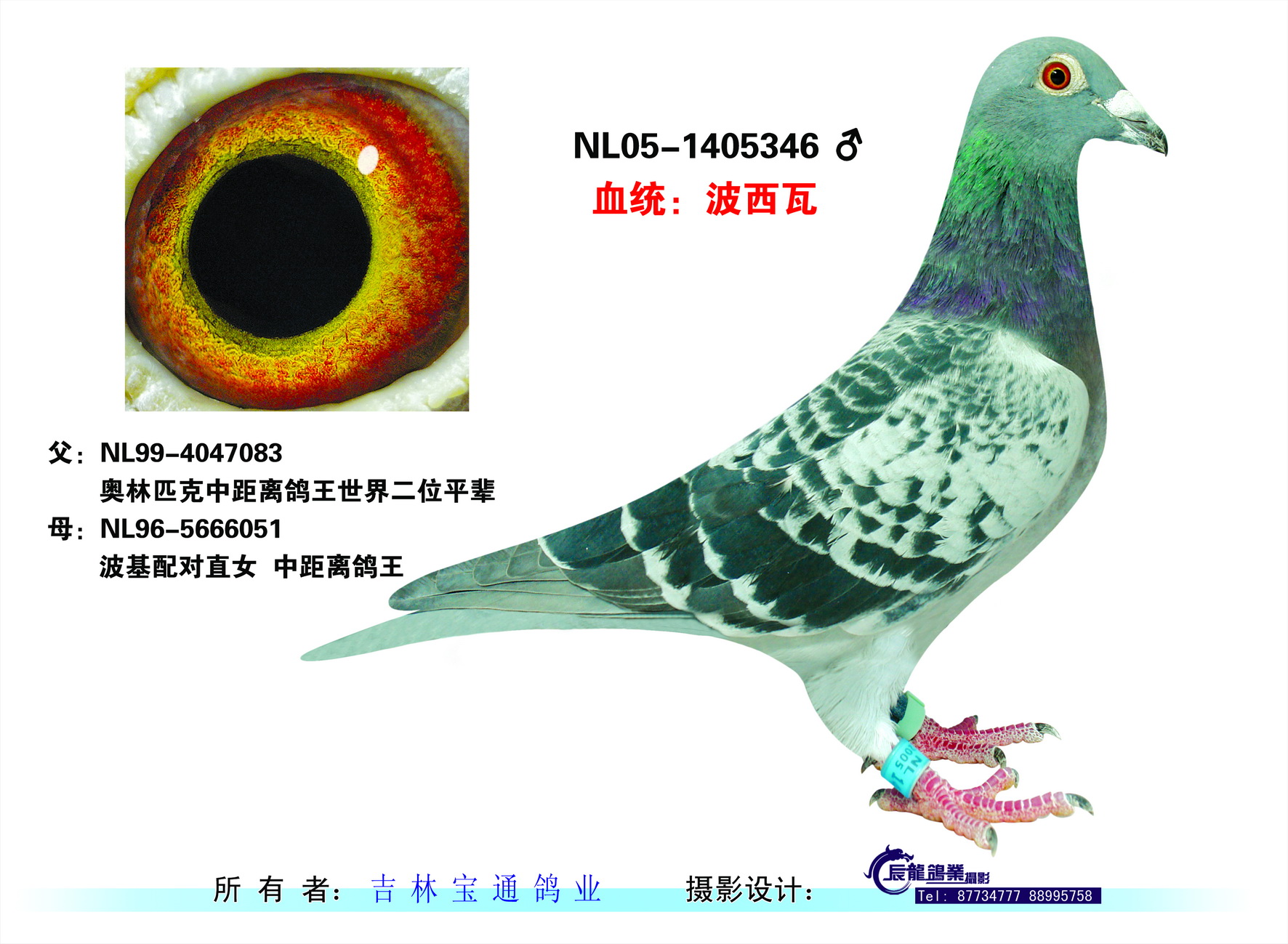 波西瓦