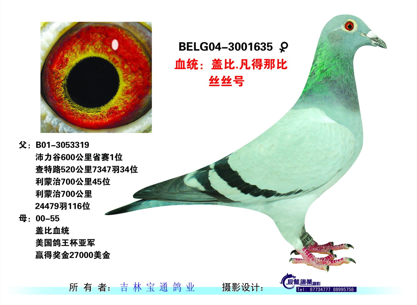 盖比.凡得那比丝丝号