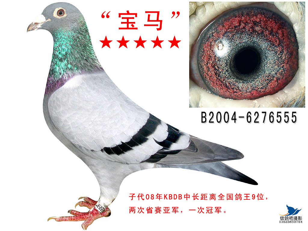 宝马