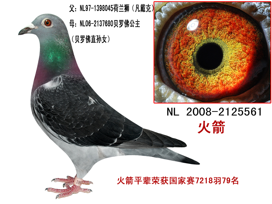 H78423.jpg
