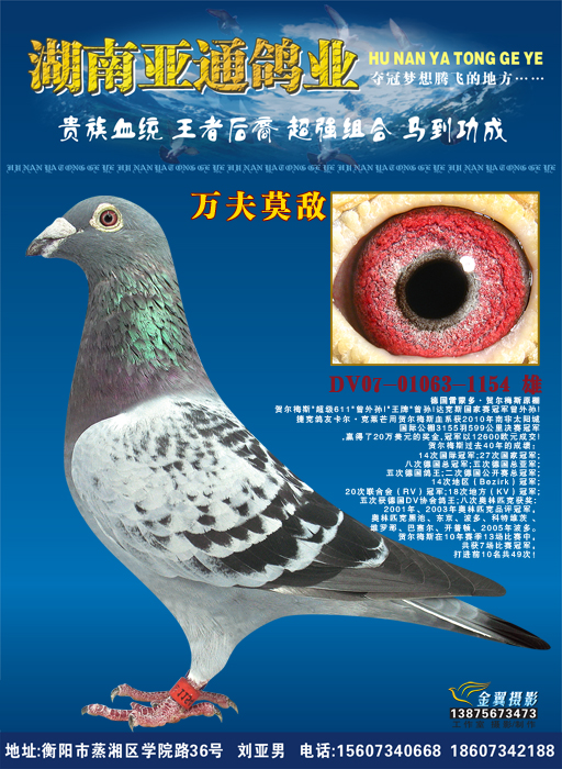 H78502.jpg