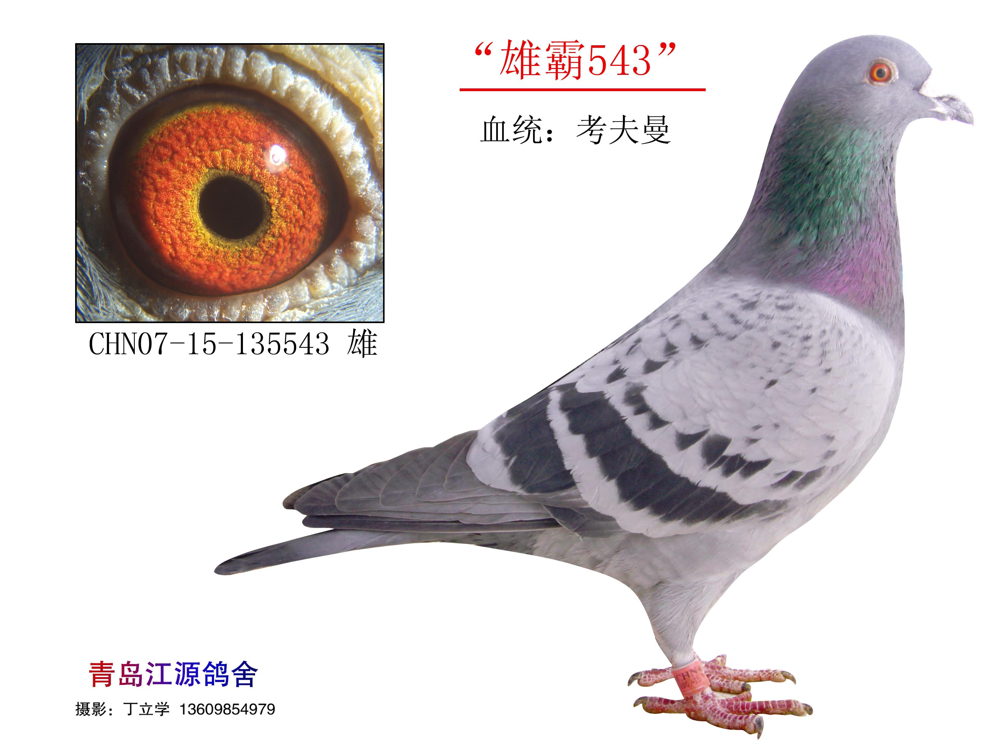 H78957.jpg