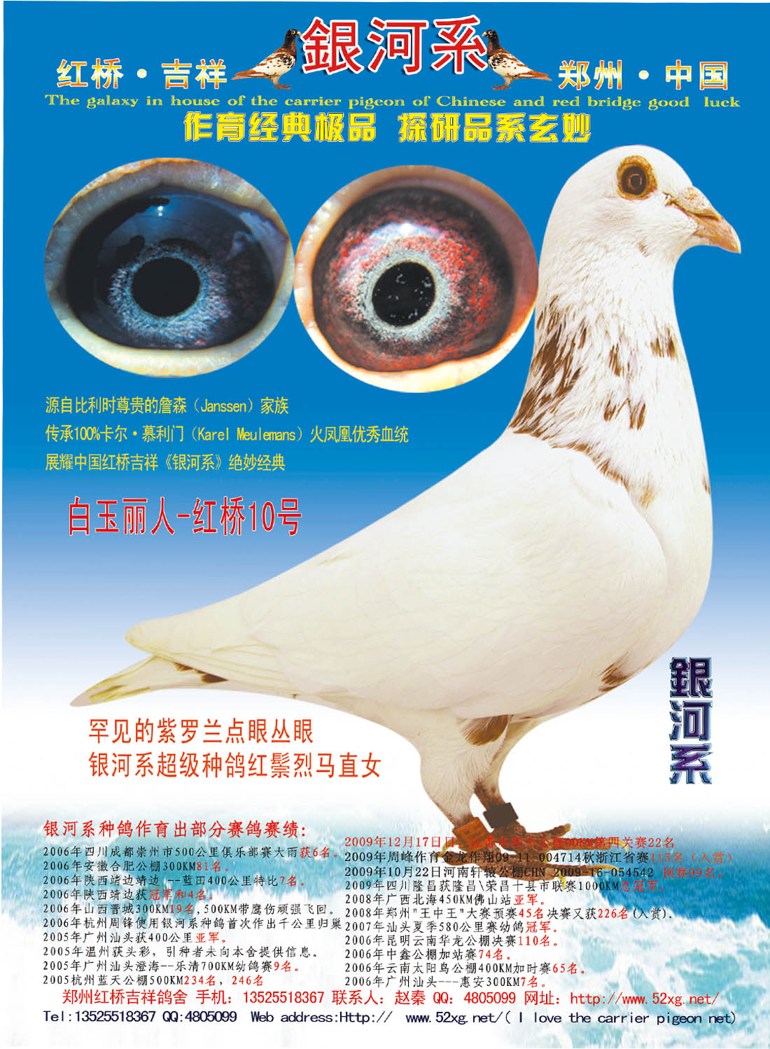 银河系之慕利门火凤凰紫罗兰点眼丛白玉丽人