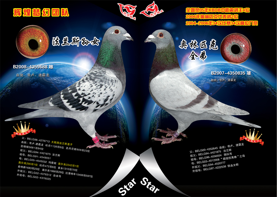 至尊家族835