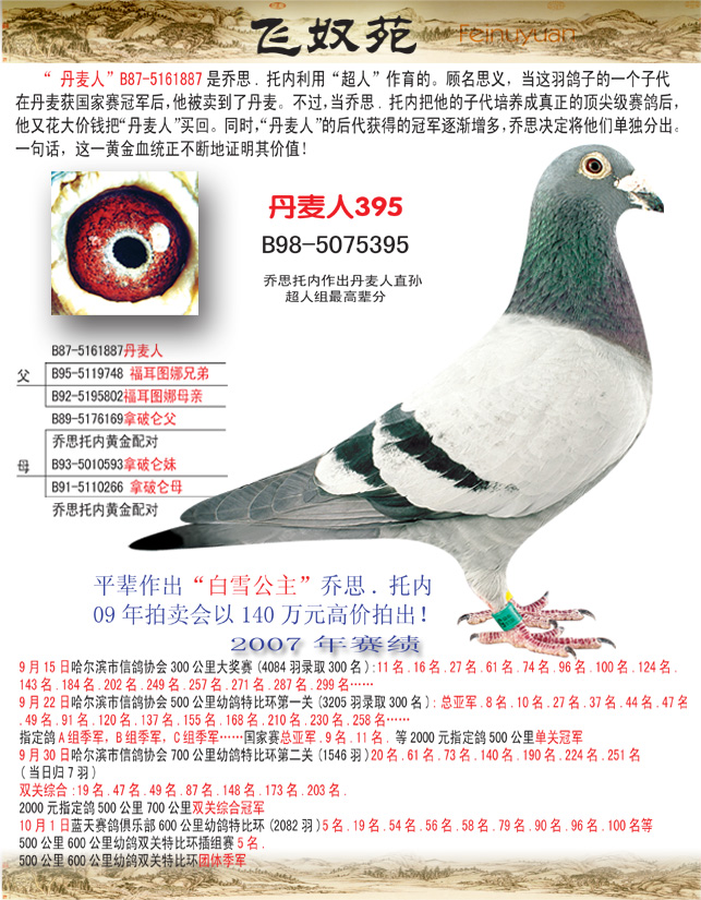 丹麦人395(乔斯托内超人组丹麦人辈分)_飞奴苑·乔斯