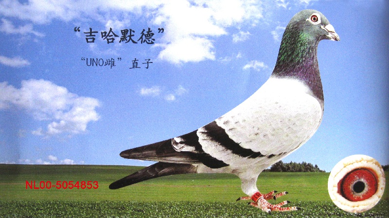 波西瓦518之父