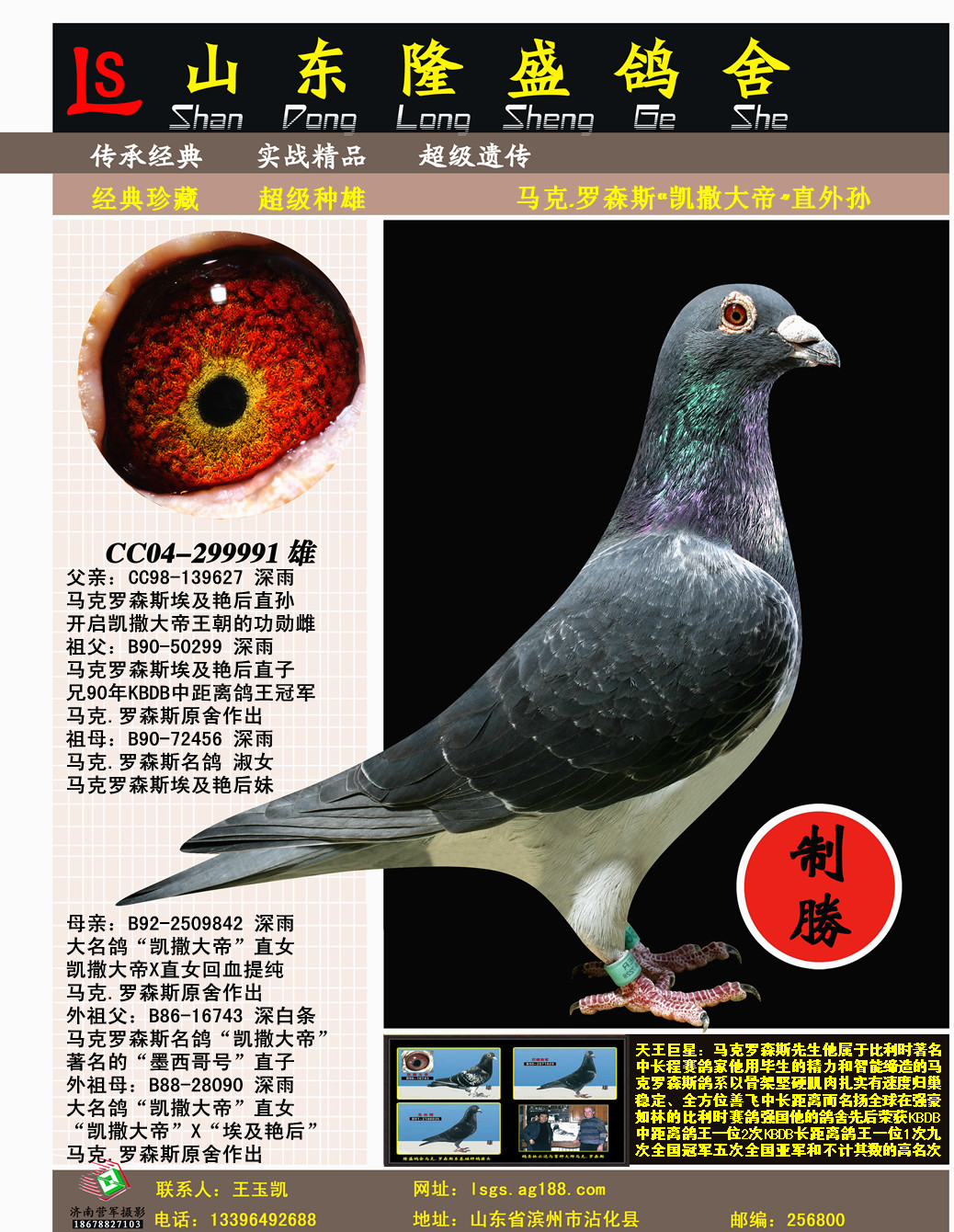 马克罗森斯凯撒大帝近血外孙