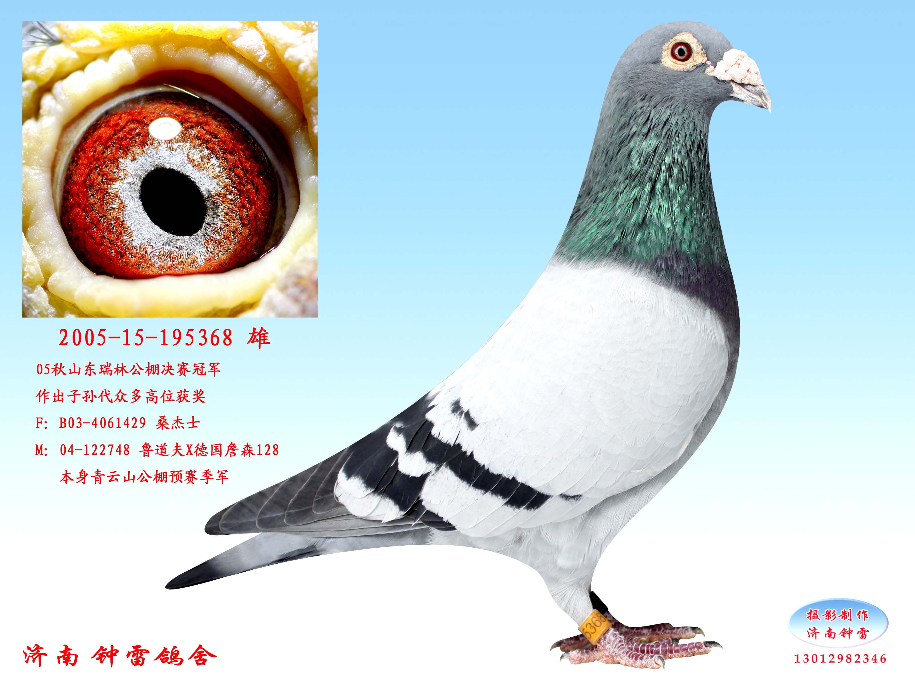 公棚冠军368