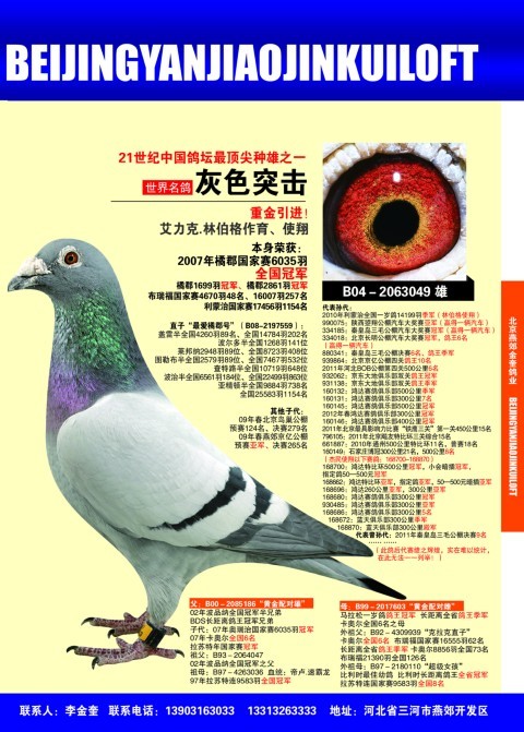 雄                         目 录:  艾力克林伯格--灰色突击及夫人