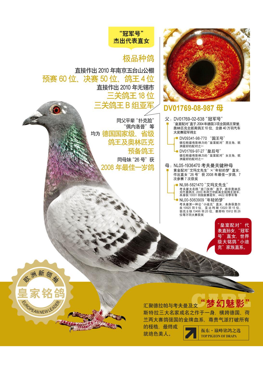 1500特比 决赛殿军-延生鸽舍-中信网爱鸽商城
