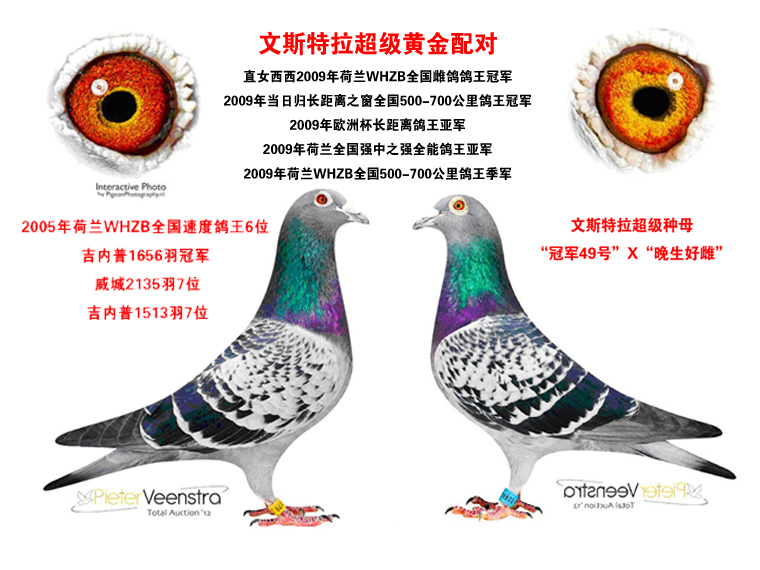 彼特·文斯特拉 灰先生同母半弟_晋宝翔聪胜_ ag188.