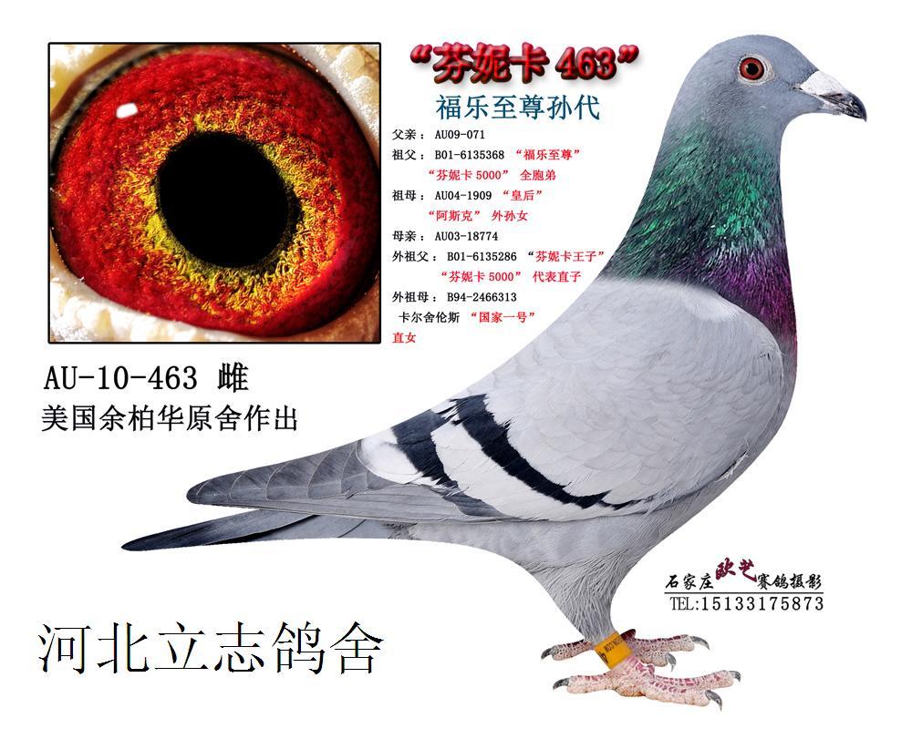 芬妮卡公主