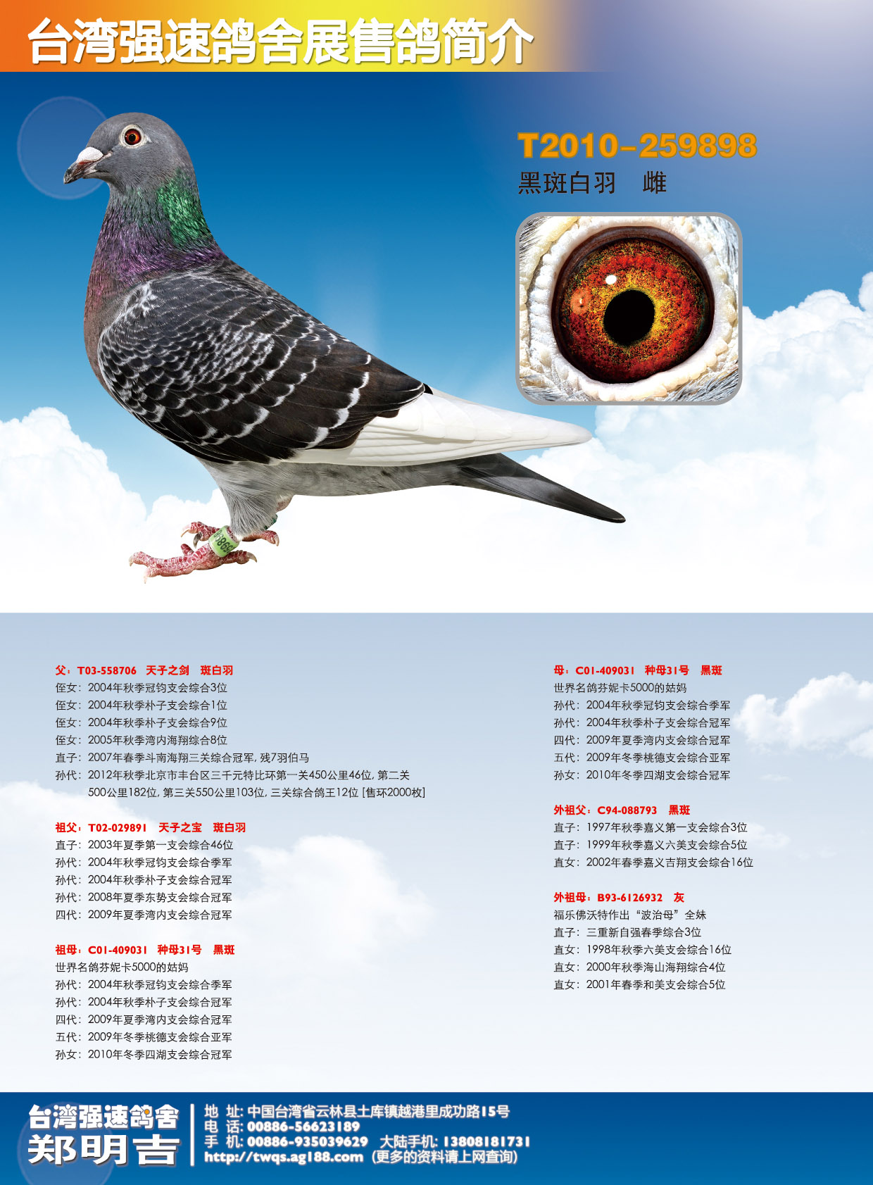 t2010-259898_台湾强速鸽舍_ ag188.com爱鸽商城_中国