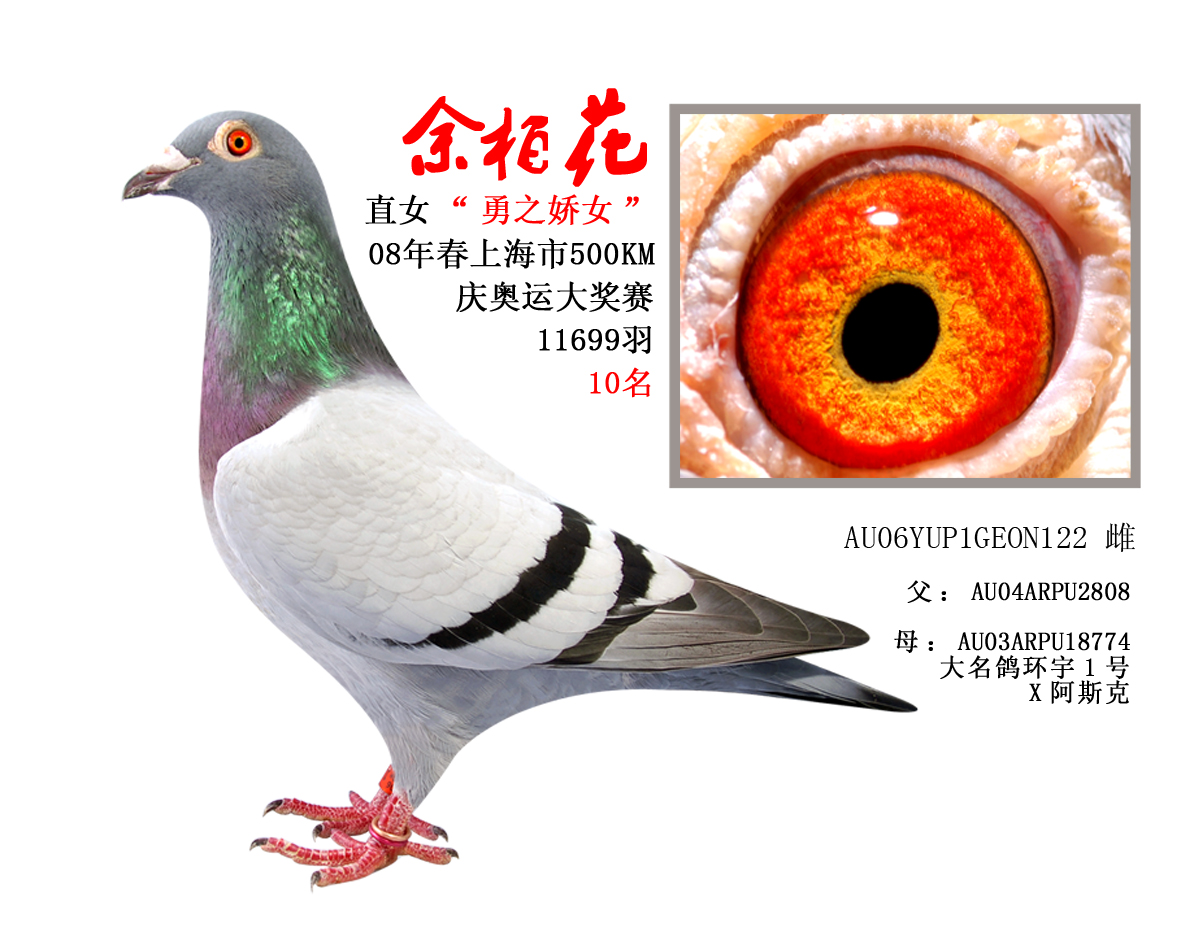 余柏花